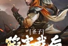 免费阅读叶圣陶为主角的小说，圣子陷害我后，宗门暴乱在线看-艾米文学