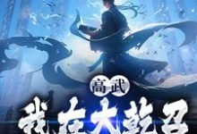 高武:我在大乾召唤历史英雄小说有没有完整的免费版本在线阅读?-艾米文学