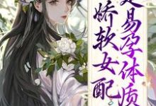 小说《生子系统:娇软女配是易孕体质!》章节免费阅读-艾米文学