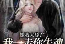 嫌我太舔?我一走你失魂落魄给谁看这本小说怎么样?免费在线阅读试试-艾米文学