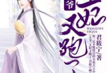 主人公宁月羿泓小说王爷，王妃又跑了在线章节阅读-艾米文学