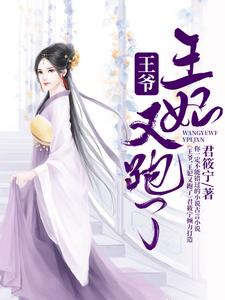 主人公宁月羿泓小说王爷，王妃又跑了在线章节阅读