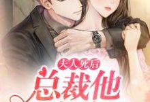 在线寻找夫人死后总裁他崩溃了小说的无删减版本-艾米文学