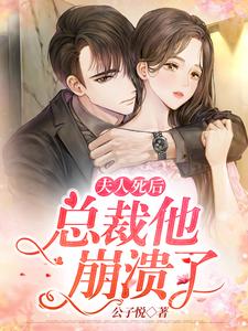 在线寻找夫人死后总裁他崩溃了小说的无删减版本