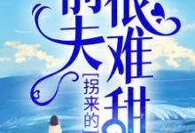 求推荐可以免费阅读拐来的前夫很难甜小说的网站-艾米文学