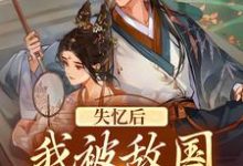 哪里能找到失忆后：我被敌国侯爷捡到了小说的全部章节？-艾米文学