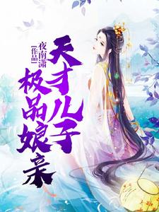 主人公慕染染慕瑾瑜夙宸小说天才儿子极品娘亲在线章节阅读
