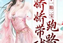 俘获太子一胎二宝，娇娇带球跑路了沈青念宋玄，俘获太子一胎二宝，娇娇带球跑路了章节在线阅读-艾米文学
