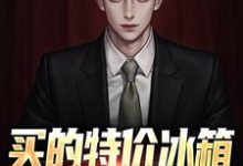 买的特价冰箱是空间穿越器小说，买的特价冰箱是空间穿越器最新章节-艾米文学