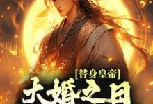 小说《替身皇帝,大婚之日假戏真做了》章节免费阅读-艾米文学