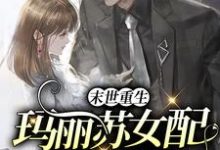 叶瑾顾景政是哪本书的主角？末世重生：玛丽苏女配反向逆袭免费读-艾米文学