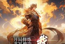 开局修炼北冥神功:我独步于武林小说,开局修炼北冥神功:我独步于武林最新章节-艾米文学