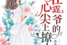 小说《一胎四宝：在霆爷的心尖上撩火》章节免费阅读-艾米文学