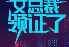 哪里能找到一觉醒来,我和女总裁领证了小说的最新更新和免费章节?-艾米文学