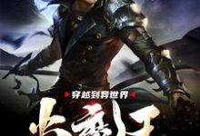林天为主角的小说好看吗?免费读穿越到异世界当魔王-艾米文学