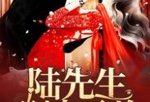 程安安陆熠鸣郑安和厉靳楠为主角的小说陆先生,别来无恙在线阅读-艾米文学