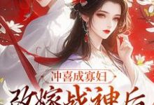 小说《冲喜成寡妇，改嫁战神后她被宠麻了》章节阅读-艾米文学