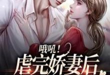 主人公叫桑田薄肆的小说哪里免费看-艾米文学