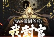 叶天策的完整故事在哪里?读穿越做倒爷后,我封官加爵了小说-艾米文学