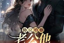 免费看协议婚姻,老公他不想离婚小说的网站有哪些?-艾米文学