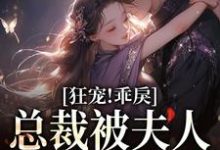 已完结小说《狂宠！乖戾总裁被夫人训服了》章节在线阅读-艾米文学