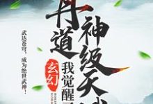 玄幻：我觉醒了丹道神级天赋小说的所有章节都能在哪里免费读到？-艾米文学