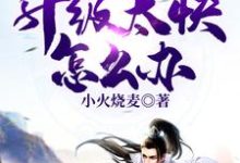 玄幻：升级太快怎么办小说完结版章节免费阅读-艾米文学