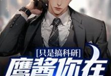 苏晨陆婉兮小说在哪里可以看-艾米文学