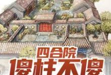 四合院：傻柱不傻，全禽发疯傻柱，四合院：傻柱不傻，全禽发疯在线无弹窗阅读-艾米文学