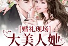 婚礼现场，大美人她喜提绿帽免费阅读，婚礼现场，大美人她喜提绿帽秦悦黎焰-艾米文学