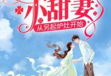 八零娇娇小甜妻，从另起炉灶开始小说，八零娇娇小甜妻，从另起炉灶开始戴东林楚榆-艾米文学