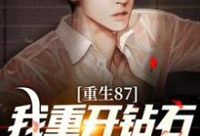 小说《重生87:我重开钻石王老五副本》在线章节阅读-艾米文学