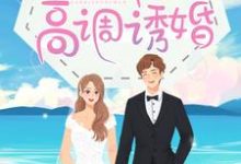 宋年夕沈鑫赫瑞文为主角的小说叫什么?免费看宋医生,请高调诱婚-艾米文学