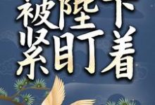 男女主人公叫叶飘离的小说免费资源-艾米文学