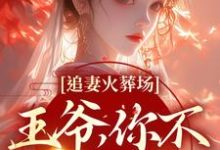追妻火葬场：王爷，你不该囚禁她小说的免费阅读版本在哪里可以找到？-艾米文学