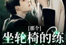 完结版《那个坐轮椅的练习生他超强》免费阅读-艾米文学
