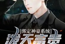 小说《绑定神豪系统,泼天富贵我接住了》章节免费阅读-艾米文学