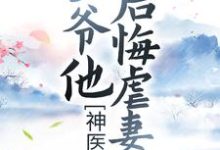 完结版《神医弃妃：王爷他后悔虐妻了》章节目录在线阅读-艾米文学