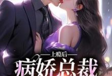 上瘾后,病娇总裁视我入命夏梨,上瘾后,病娇总裁视我入命小说免费阅读-艾米文学