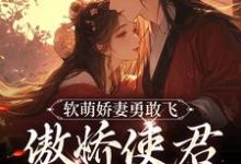 已完结小说《软萌娇妻勇敢飞,傲娇使君永相随》最新章节-艾米文学