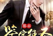 完整版的都市鉴宝狂圣小说在哪里可以免费读到?-艾米文学