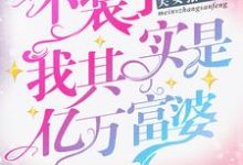 哪里可以免费读到沈一心贺星寒的完整故事？寻找不装了，我其实是亿万富婆-艾米文学