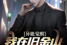 在线搜索陈夕的完整小说，免费阅读异能觉醒：我在旧金山当主厨-艾米文学