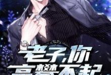 老子,你高攀不起这本小说在哪里可以看?哪里有免费试读章节?-艾米文学