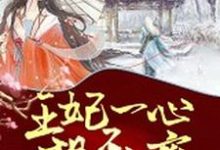 王妃一心想和离主角苏夏元衡小说完结版章节在线阅读-艾米文学