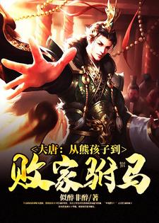 完结版《大唐：从熊孩子到败家驸马》章节目录在线阅读