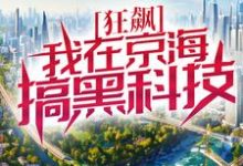 《狂飙:我在京海搞黑科技》小说章节列表免费试读,徐雷小说在线阅读-艾米文学