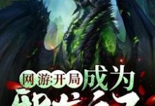 网游：开局成为邪龙之子主角陈墨红玉小说完结版章节在线阅读-艾米文学