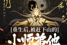 已完结小说《重生后，被赶下山的小师弟他黑化了》章节在线阅读-艾米文学