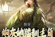 快穿:炮灰她踹翻主角自己修仙上位林暮暮林思瑶小说在线章节目录阅读最新章节-艾米文学